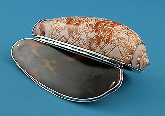 George III / IV Silver-Mounted "Lettered Olive Shell" & Tortoiseshell Snuff Box,
